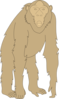 Staring Monkey Clip Art